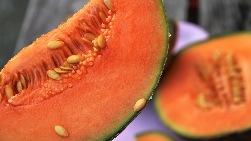 benefícios do melão nutriela