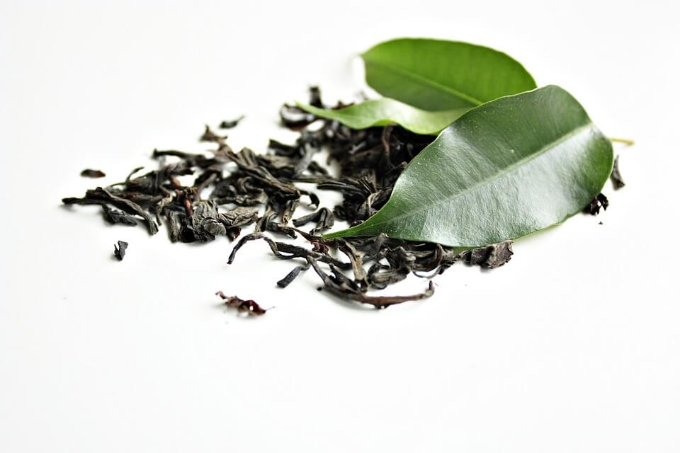 chá verde em pó benefícios chá verde anew camellia sinensis original nutriela matcha
