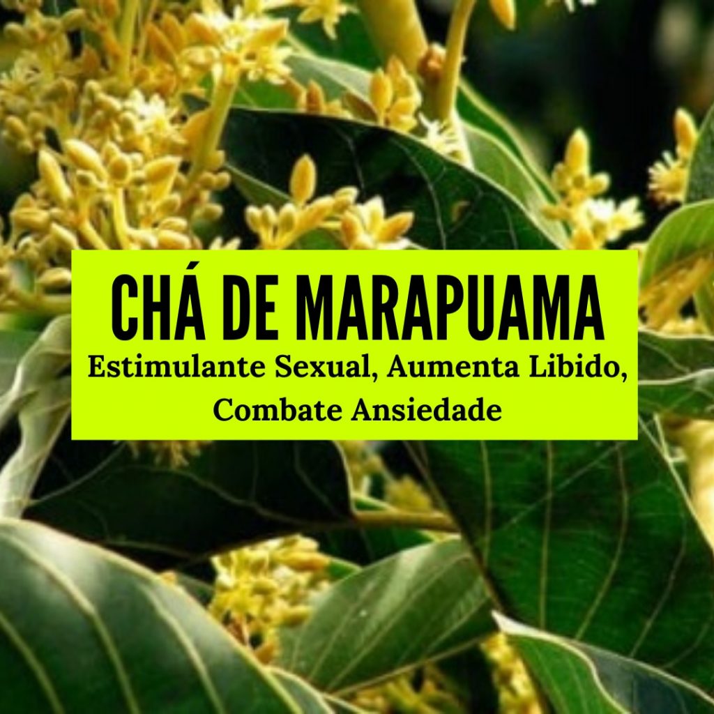 Chá de Marapuama