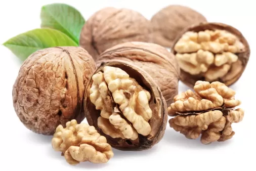 Como consumir oleaginosas corretamente como consumir oleaginosas nozes