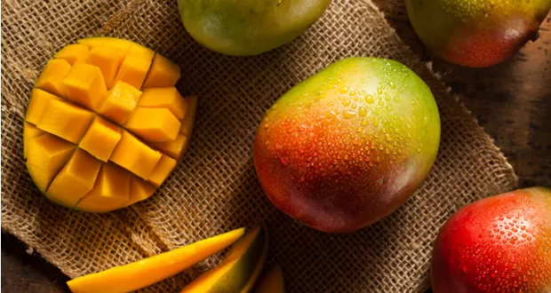 smoothie de manga smoothie de manga receita