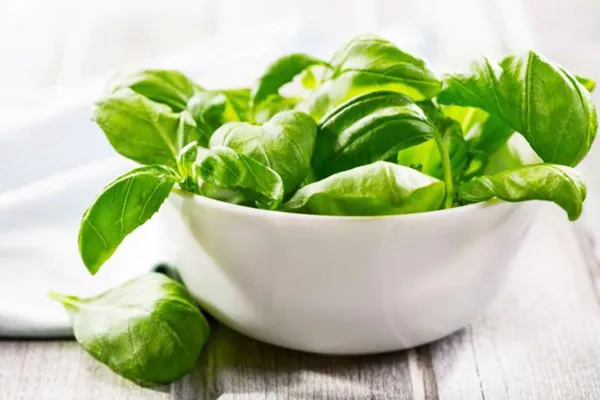 dieta alcalina salada