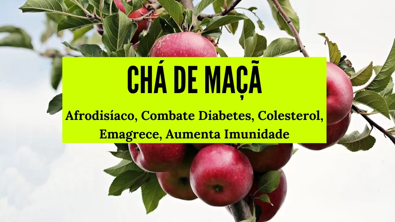 chá de maçã