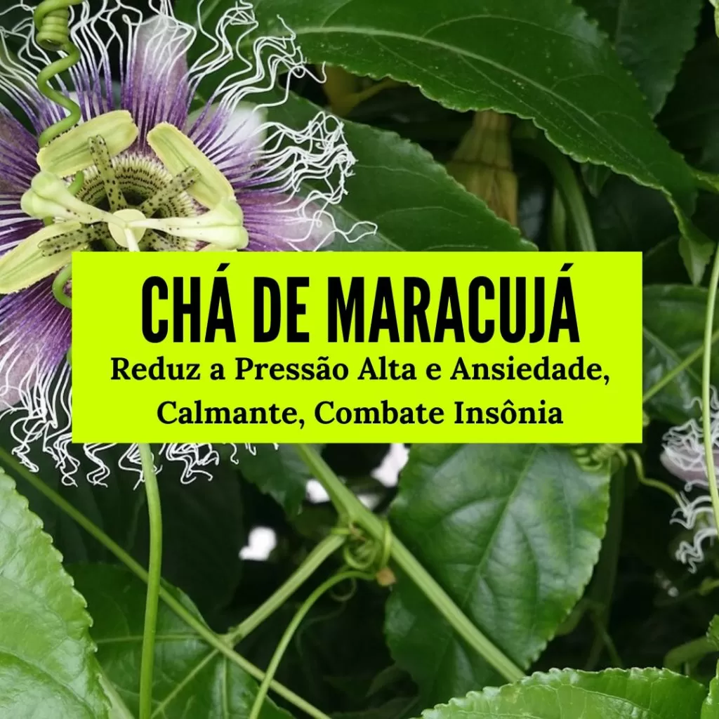 Chá de Maracujá