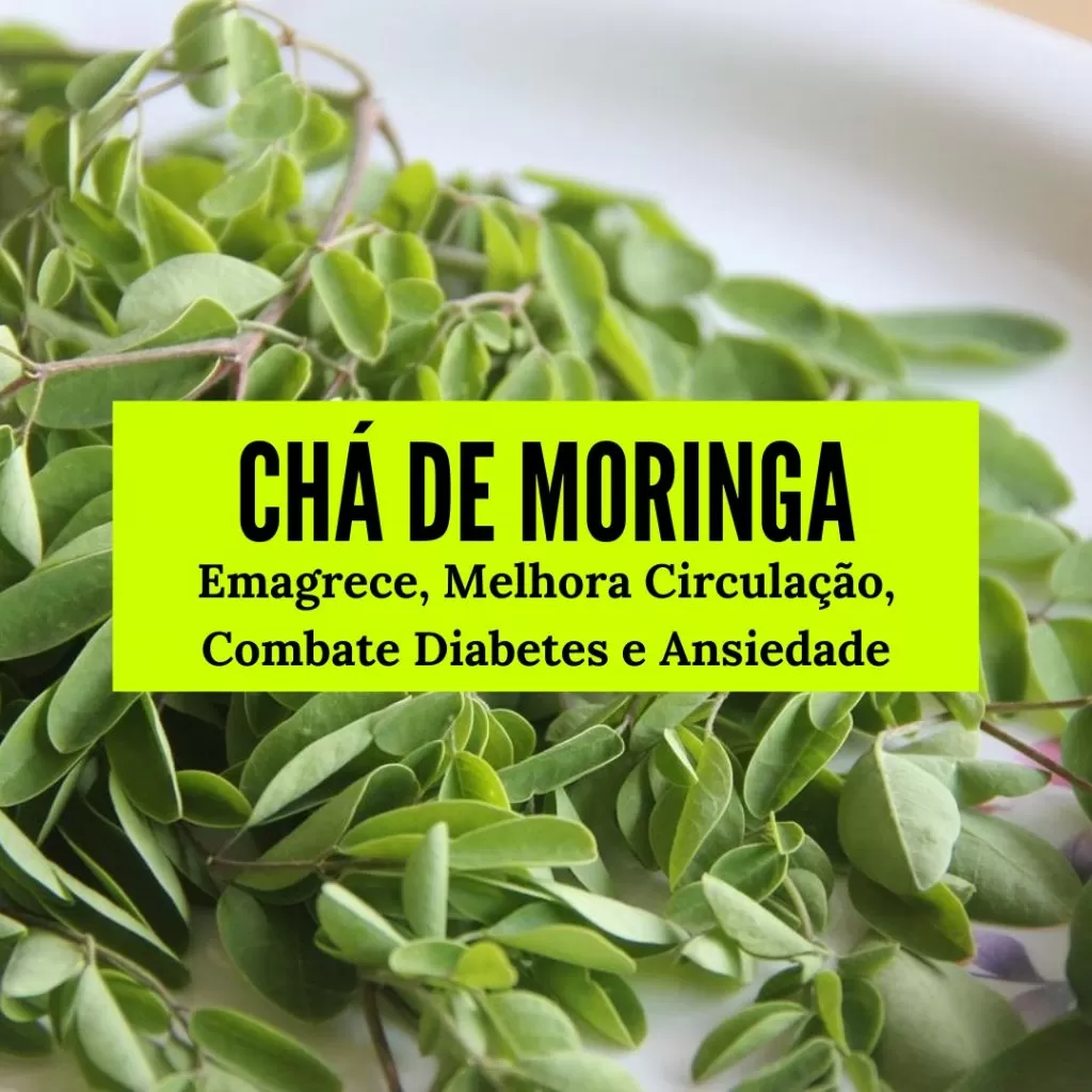 chá de moringa