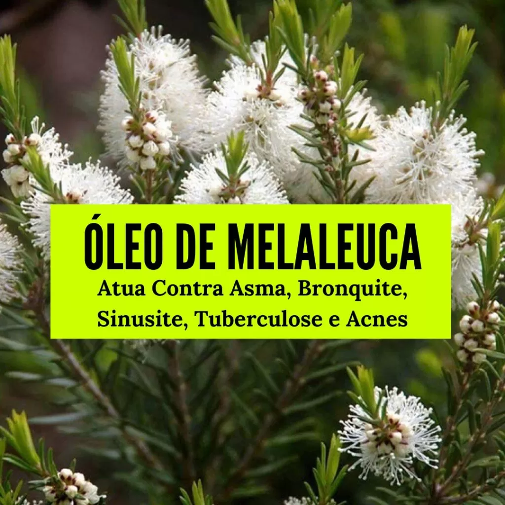 óleo de melaleuca