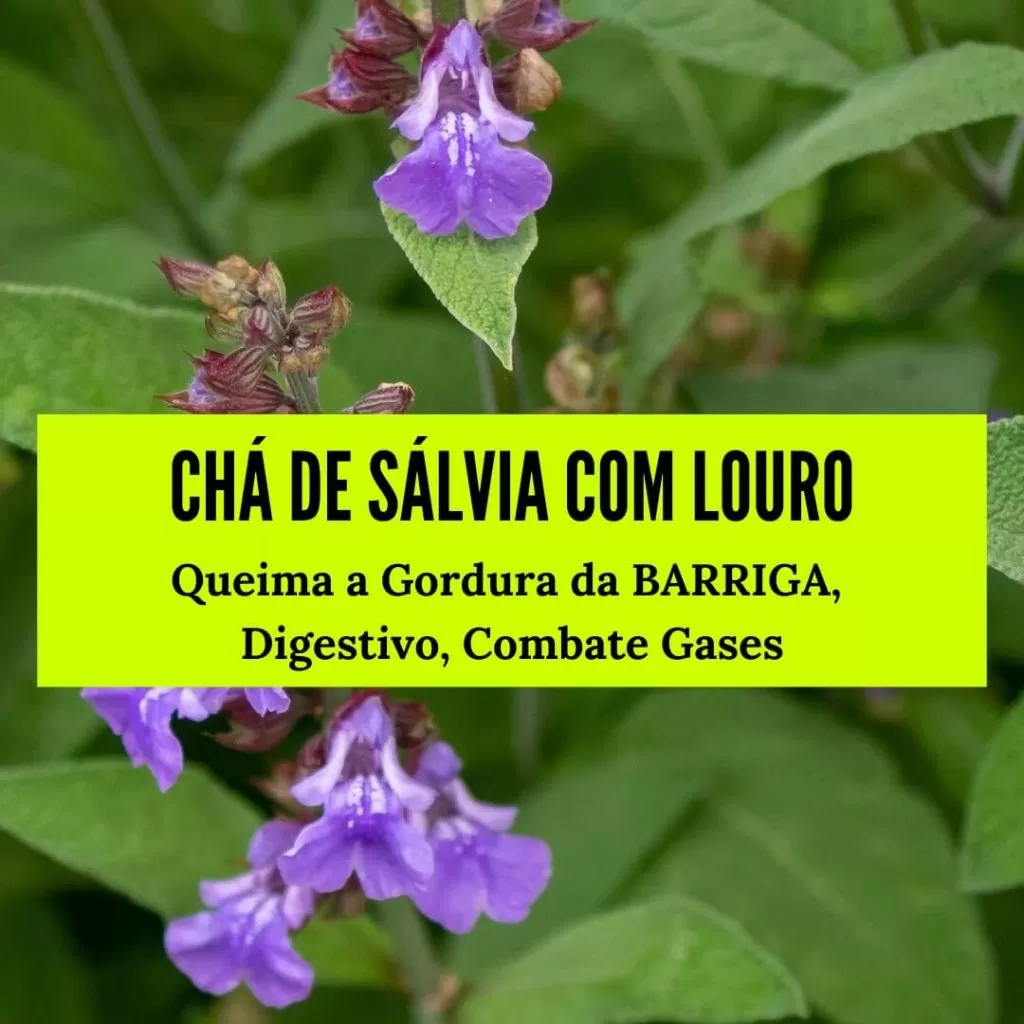 Chá de Sálvia com Louro para Queimar Gordura da BARRIGA
