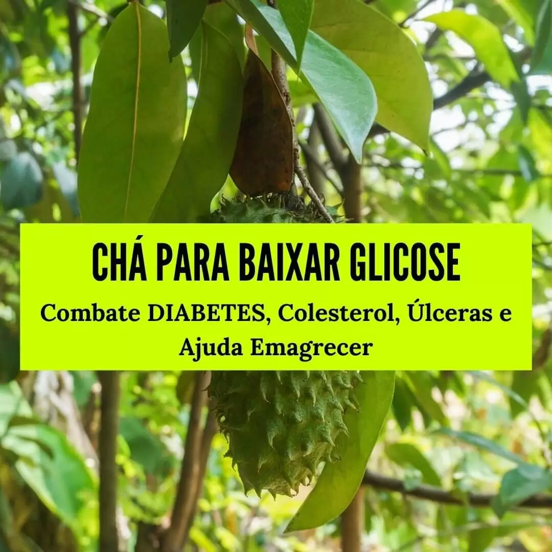 Receita de Chá para Baixar Glicose (Pata de Vaca, Graviola e Ipê Roxo ...